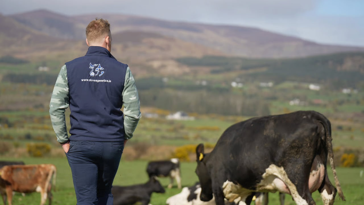 Gode resultater med SpermVital hos Dovea Genetics