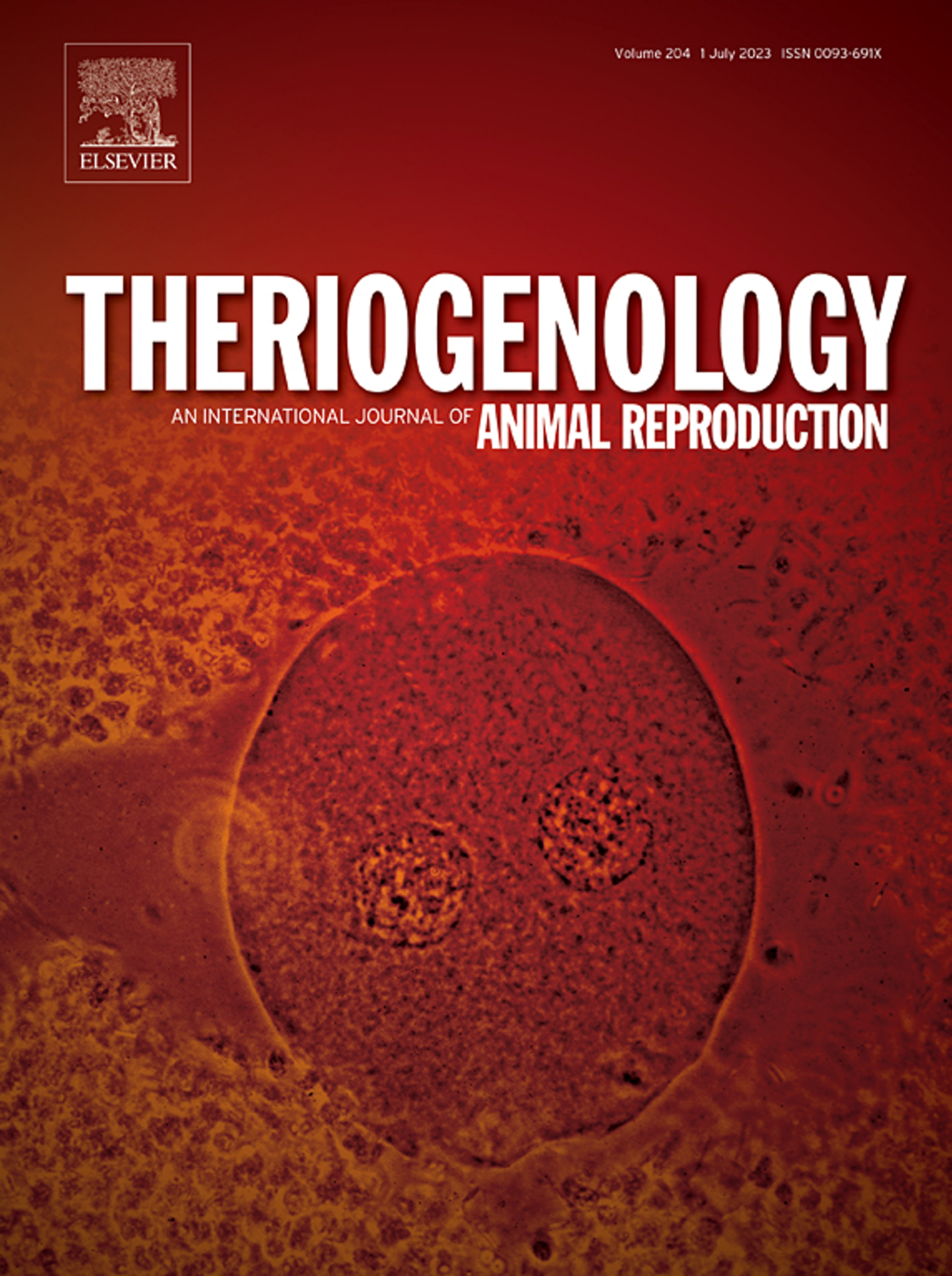 Use of immobilized cryopreserved bovine semen in a blind artificial insemination trial